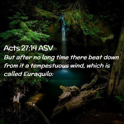 Picture 02 - Acts 27:14 ASV - But after no long time there beat down from it a - Bible Verse Picture
