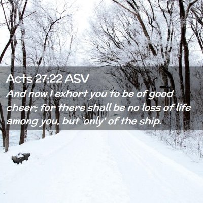 Picture 02 - Acts 27:22 ASV - And now I exhort you to be of good cheer; for - Bible Verse Picture