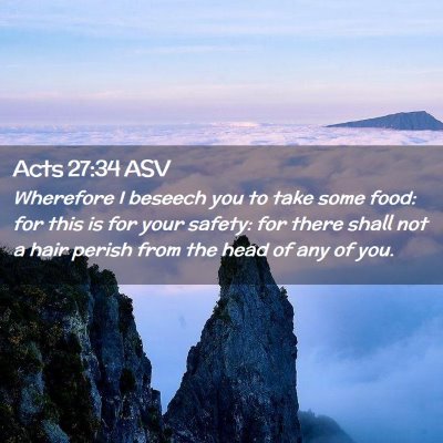 Picture 02 - Acts 27:34 ASV - Wherefore I beseech you to take some food: for - Bible Verse Picture