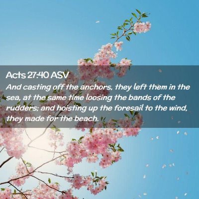 Picture 02 - Acts 27:40 ASV - And casting off the anchors, they left them in - Bible Verse Picture