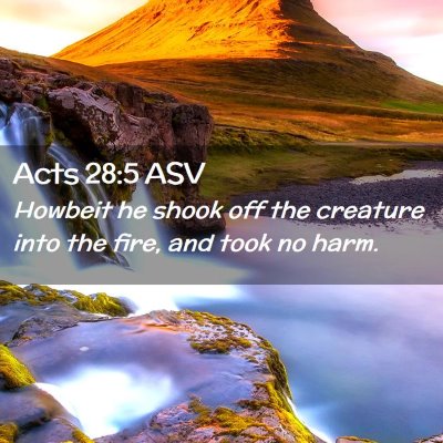 Picture 02 - Acts 28:5 ASV - Howbeit he shook off the creature into the fire, - Bible Verse Picture