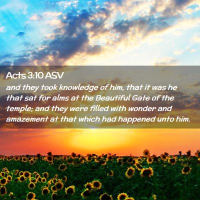 Picture 02 - Acts 3:10 ASV - and they took knowledge of him, that it was he - Bible Verse Picture