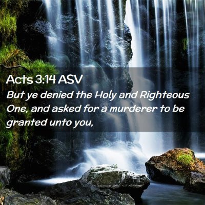 Picture 02 - Acts 3:14 ASV - But ye denied the Holy and Righteous One, and - Bible Verse Picture