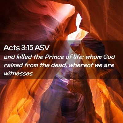 Picture 02 - Acts 3:15 ASV - and killed the Prince of life; whom God raised - Bible Verse Picture