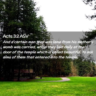 Picture 02 - Acts 3:2 ASV - And a certain man that was lame from his mother's - Bible Verse Picture