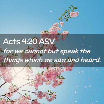 Picture 02 - Acts 4:20 ASV - for we cannot but speak the things which we saw - Bible Verse Picture