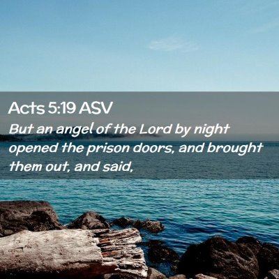 Picture 02 - Acts 5:19 ASV - But an angel of the Lord by night opened the - Bible Verse Picture