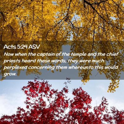 Picture 02 - Acts 5:24 ASV - Now when the captain of the temple and the chief - Bible Verse Picture