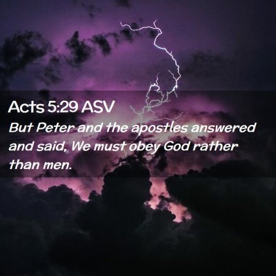 Picture 02 - Acts 5:29 ASV - But Peter and the apostles answered and said, We - Bible Verse Picture
