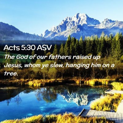 Picture 02 - Acts 5:30 ASV - The God of our fathers raised up Jesus, whom ye - Bible Verse Picture