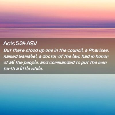 Picture 02 - Acts 5:34 ASV - But there stood up one in the council, a - Bible Verse Picture