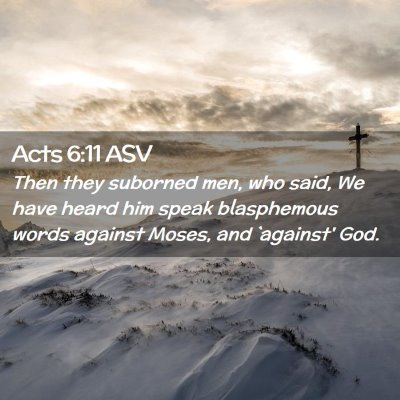 Picture 02 - Acts 6:11 ASV - Then they suborned men, who said, We have heard - Bible Verse Picture