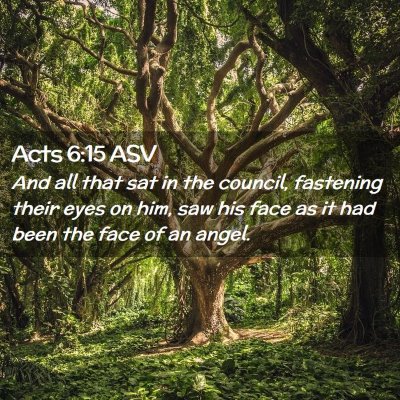 Picture 02 - Acts 6:15 ASV - And all that sat in the council, fastening their - Bible Verse Picture