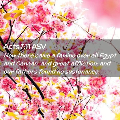 Picture 02 - Acts 7:11 ASV - Now there came a famine over all Egypt and - Bible Verse Picture