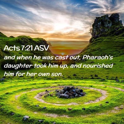 Picture 02 - Acts 7:21 ASV - and when he was cast out, Pharaoh's daughter took - Bible Verse Picture