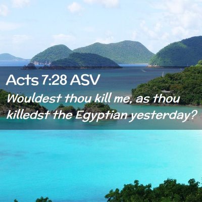 Picture 02 - Acts 7:28 ASV - Wouldest thou kill me, as thou killedst the - Bible Verse Picture