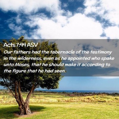 Picture 02 - Acts 7:44 ASV - Our fathers had the tabernacle of the testimony - Bible Verse Picture