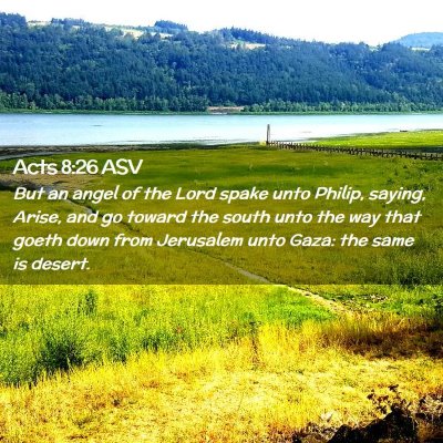 Picture 02 - Acts 8:26 ASV - But an angel of the Lord spake unto Philip, - Bible Verse Picture