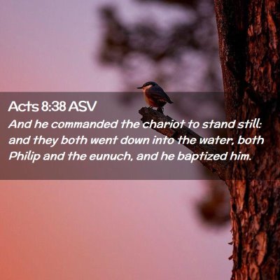 Picture 02 - Acts 8:38 ASV - And he commanded the chariot to stand still: and - Bible Verse Picture