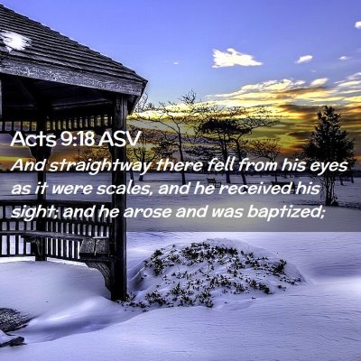 Picture 02 - Acts 9:18 ASV - And straightway there fell from his eyes as it - Bible Verse Picture