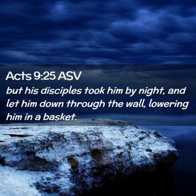 Picture 02 - Acts 9:25 ASV - but his disciples took him by night, and let him - Bible Verse Picture