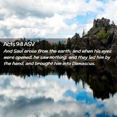 Picture 02 - Acts 9:8 ASV - And Saul arose from the earth; and when his eyes - Bible Verse Picture