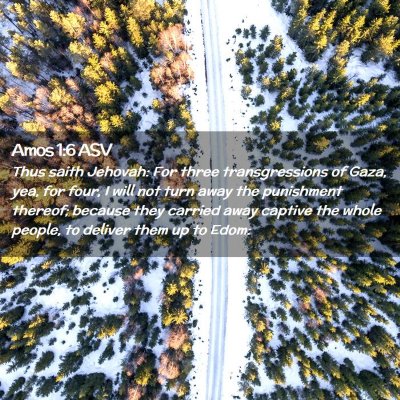 Picture 02 - Amos 1:6 ASV - Thus saith Jehovah: For three transgressions of - Bible Verse Picture