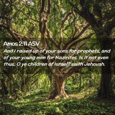 Picture 02 - Amos 2:11 ASV - And I raised up of your sons for prophets, and of - Bible Verse Picture