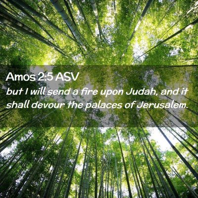 Picture 02 - Amos 2:5 ASV - but I will send a fire upon Judah, and it shall - Bible Verse Picture