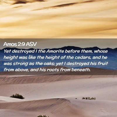Picture 02 - Amos 2:9 ASV - Yet destroyed I the Amorite before them, whose - Bible Verse Picture