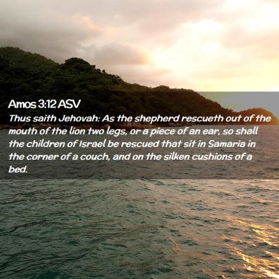 Picture 02 - Amos 3:12 ASV - Thus saith Jehovah: As the shepherd rescueth out - Bible Verse Picture
