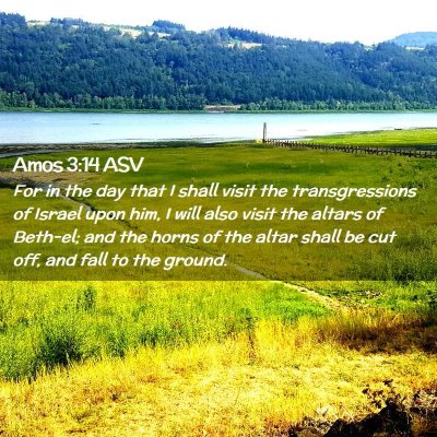 Picture 02 - Amos 3:14 ASV - For in the day that I shall visit the - Bible Verse Picture