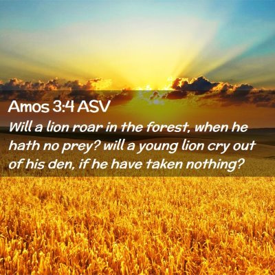 Picture 02 - Amos 3:4 ASV - Will a lion roar in the forest, when he hath no - Bible Verse Picture