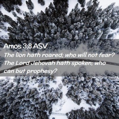 Picture 02 - Amos 3:8 ASV - The lion hath roared; who will not fear? The Lord - Bible Verse Picture