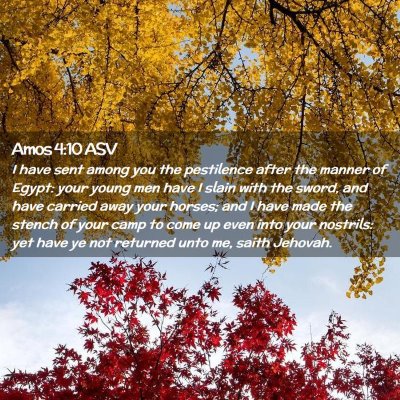 Picture 02 - Amos 4:10 ASV - I have sent among you the pestilence after the - Bible Verse Picture