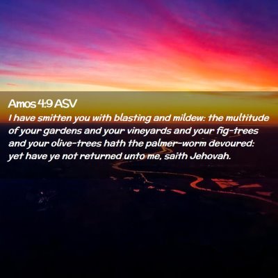 Picture 02 - Amos 4:9 ASV - I have smitten you with blasting and mildew: the - Bible Verse Picture