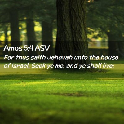 Picture 02 - Amos 5:4 ASV - For thus saith Jehovah unto the house of Israel, - Bible Verse Picture