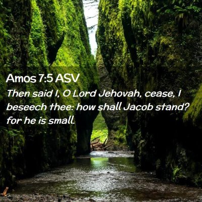 Picture 02 - Amos 7:5 ASV - Then said I, O Lord Jehovah, cease, I beseech - Bible Verse Picture