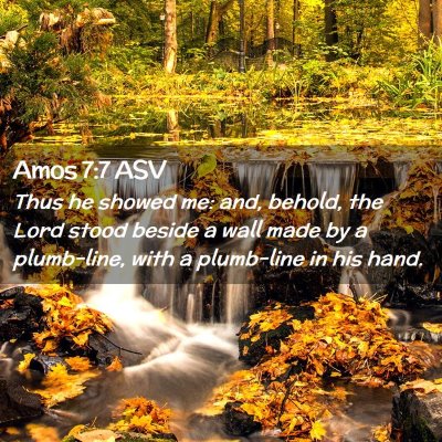 Picture 02 - Amos 7:7 ASV - Thus he showed me: and, behold, the Lord stood - Bible Verse Picture