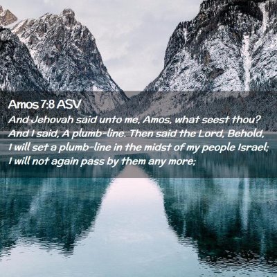 Picture 02 - Amos 7:8 ASV - And Jehovah said unto me, Amos, what seest thou? - Bible Verse Picture
