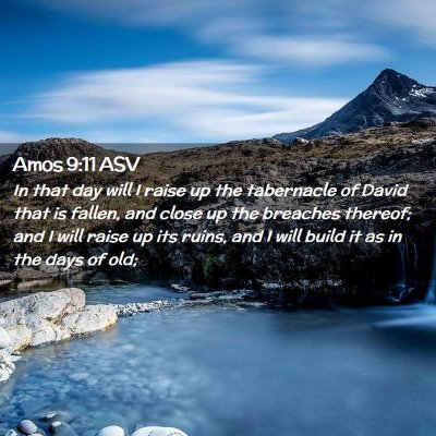 Picture 02 - Amos 9:11 ASV - In that day will I raise up the tabernacle of - Bible Verse Picture