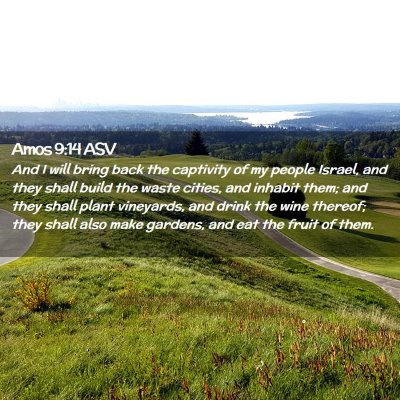 Picture 02 - Amos 9:14 ASV - And I will bring back the captivity of my people - Bible Verse Picture