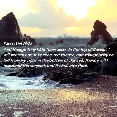 Picture 02 - Amos 9:3 ASV - And though they hide themselves in the top of - Bible Verse Picture