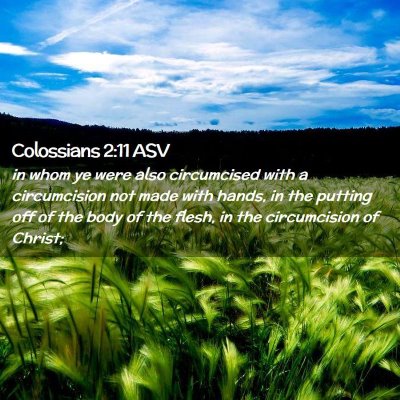 Picture 02 - Colossians 2:11 ASV - in whom ye were also circumcised with a - Bible Verse Picture