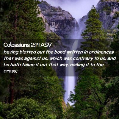 Picture 02 - Colossians 2:14 ASV - having blotted out the bond written in ordinances - Bible Verse Picture