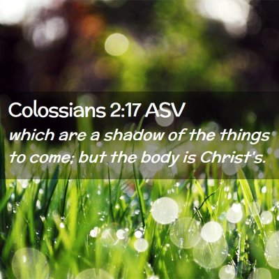 Picture 02 - Colossians 2:17 ASV - which are a shadow of the things to come; but the - Bible Verse Picture