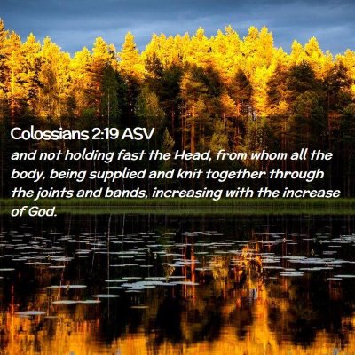 Picture 02 - Colossians 2:19 ASV - and not holding fast the Head, from whom all the - Bible Verse Picture