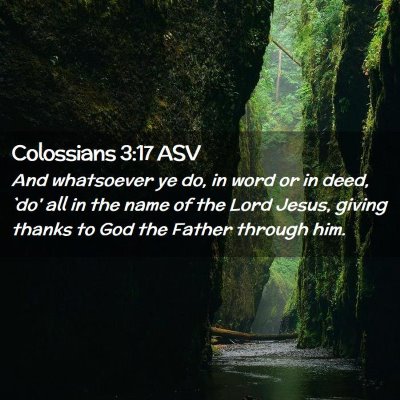 Picture 02 - Colossians 3:17 ASV - And whatsoever ye do, in word or in deed, `do' - Bible Verse Picture