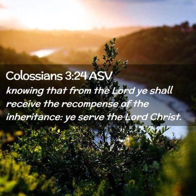 Picture 02 - Colossians 3:24 ASV - knowing that from the Lord ye shall receive the - Bible Verse Picture