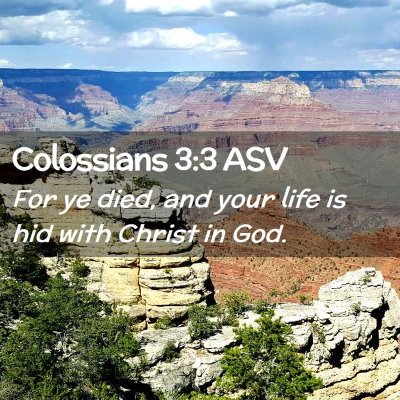 Picture 02 - Colossians 3:3 ASV - For ye died, and your life is hid with Christ in - Bible Verse Picture